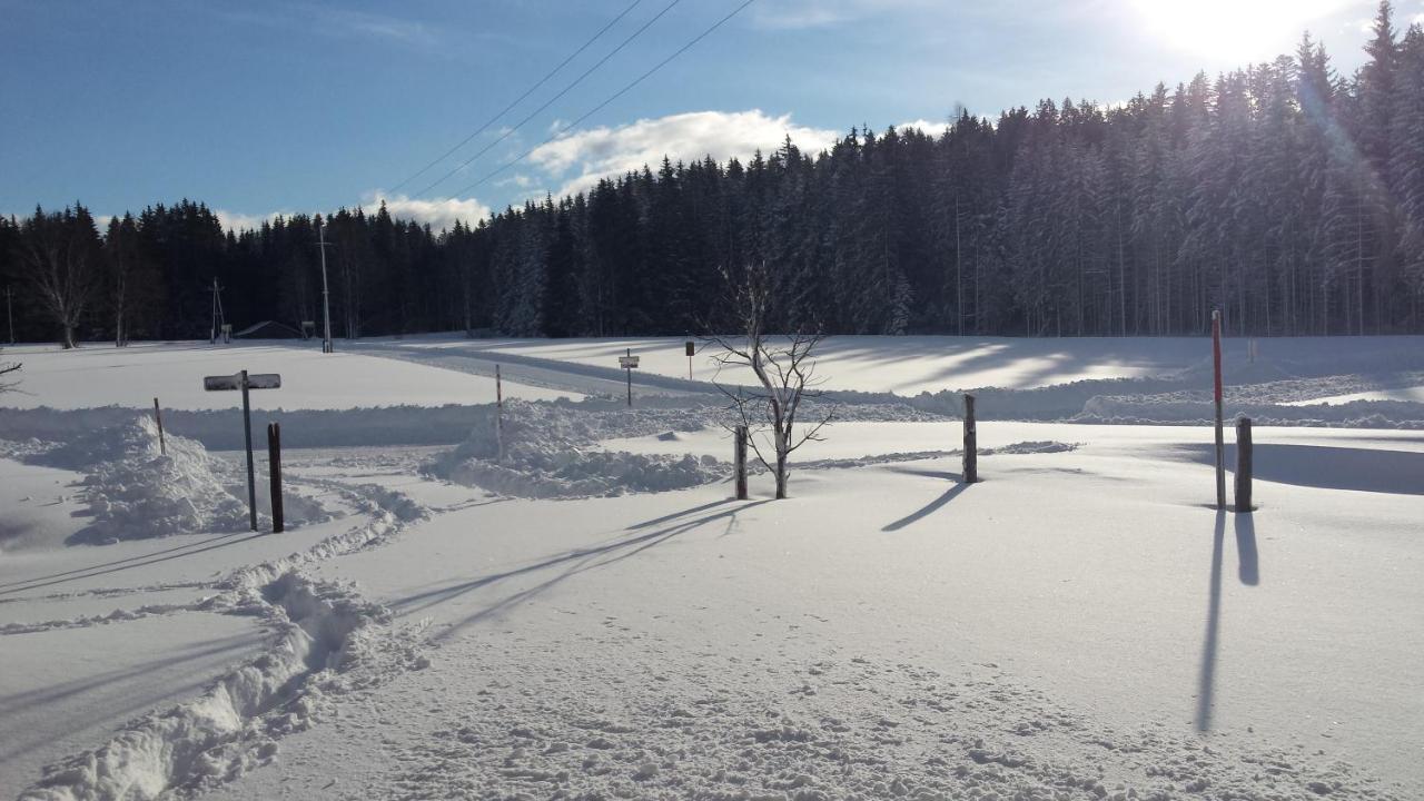 Haus Ferienglueck Διαμέρισμα Ramsau am Dachstein Εξωτερικό φωτογραφία