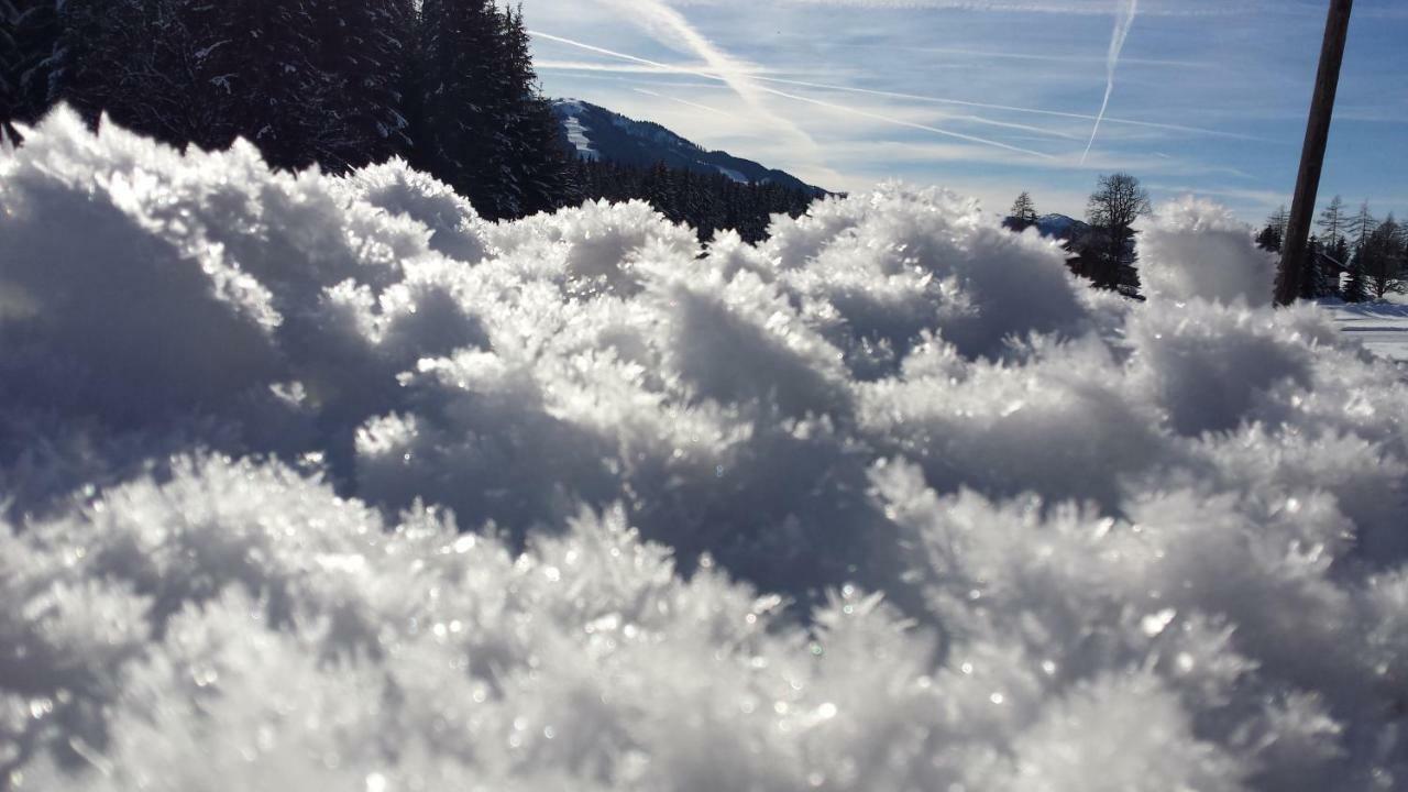 Haus Ferienglueck Διαμέρισμα Ramsau am Dachstein Εξωτερικό φωτογραφία