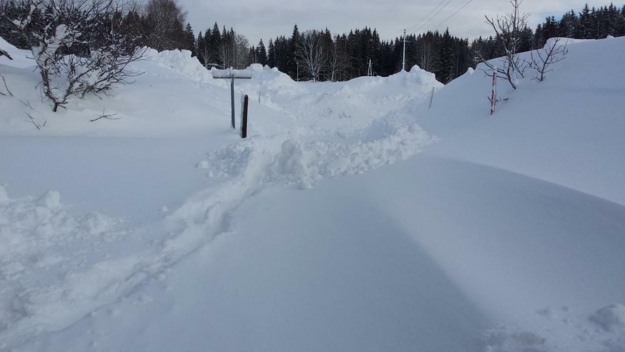 Haus Ferienglueck Διαμέρισμα Ramsau am Dachstein Εξωτερικό φωτογραφία